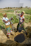 Women fetching water in Namong, Tone district, Togo.