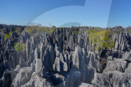 Tsingy de Bemaraha National Park, Melaky Region, Western Madagascar