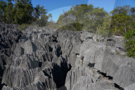 Small Tsingy, Tsingy de Bemaraha National Park, Melaky Region, Western Madagascar