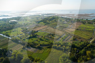 View of Sant'Erasmo island from the helicopter, Venice Lagoon, Italy, Europe