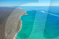 Coral reef near Salary, South Western coast of Madagascar