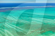 Coral reef near Salary, South Western coast of Madagascar