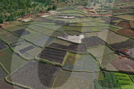 Vegetable cultivation and brick making on the rice fields, National Route RN7 between Antsirabe and Antananarivo, Madagascar