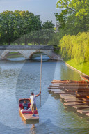 UK, England, Cambridge, The Backs, Trinity College, Trintiy Bridge over River Cam, Punts
