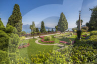 View of lilley pond from Floral Fountains, Isola Bella, Borromean Islands, Lake Maggiore, Piedmont, Italian Lakes, Italy, Europe