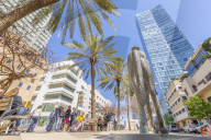 View of statue, palm trees and walkway on Rothschild Boulevard, Tel Aviv, Israel, Middle East