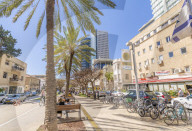 View of palm trees and walkway on Rothschild Boulevard, Tel Aviv, Israel, Middle East