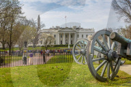 View of the White House and spring blossom in Lafayette Square, Washington D.C., United States of America, North America