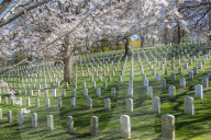 View of gravestones in Arlington National Cemetery in springtime, Washington DC, District of Columbia, United States of America