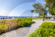 View of promenade, Zadar, Zadar county, Dalmatia region, Croatia, Europe