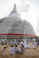 Ruwanweli Saya Dagoba (Golden Sand Stupa), Anuradhapura, North Central Province, Sri Lanka, Asia