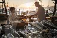 Fish market at dawn, Galle, South Coast, Sri Lanka, Asia