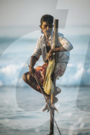 Stilt Fisherman at dawn, Weligama, South Coast, Sri Lanka, Asia