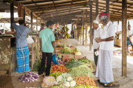 Jaffna, Northern Province, Sri Lanka, Asia