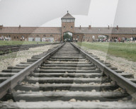 Railway tracks leading to the Birkenau concentration camp, Auschwitz, Poland, Europe