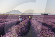 A young woman walks through lavender fields on the Plateau de Valensole in France.