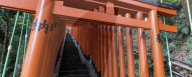 Torii gates at Hie Shrine in Chiyoda, Tokyo, Japan.