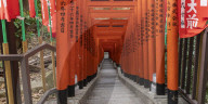 Torii gates ar Hie Shrine in Chiyoda, Tokyo, Japan.