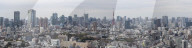 Panorama of the skyscrapers of central Tokyo and the iconic Tokyo tower, Japan's capital city.