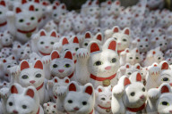 Cat statues in Gotokuji Temple in Setagaya city, Tokyo, Japan.