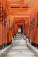 Torii gates at Hie Shrine in Chiyoda, Tokyo, Japan.