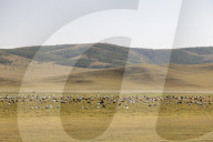 The vast landscapes of Khentii Province in Mongolia.