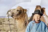 A camel herder in Mongolia.