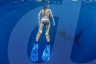 Tourist snorkelling with a whale shark (Rhincodon typus) in Honda Bay, Palawan, the Philippines.