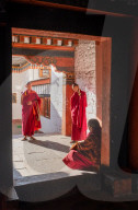 Bhutanese monks talk with head monk, Kyichu Temple.