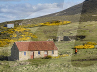 View of the sheep settlement abandoned in 1992 on Keppel Island, Falklands.