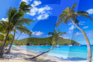 Stunning Saltwhistle Bay, yachts, white sand beach, blue sea, overhanging palm trees, Mayreau, Grenadines, St Vincent, Caribbean