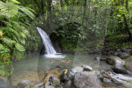 Cascade aux Ecrevisses, Crayfish Waterfall, Parc National de la Guadeloupe, Guadeloupe National Park, Basse Terre, Caribbean