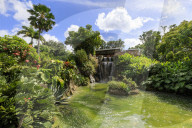 Jardin Botanique de Deshaies, botanic garden, Death In Paradise location, Deshaies, Basse Terre, Guadeloupe, Caribbean