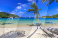 Stunning Saltwhistle Bay, yachts, white sand beach, blue sea, overhanging palm trees, Mayreau, Grenadines, St Vincent, Caribbean