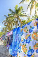 Beautiful hanging backlit wraps, white sand beach, palm trees, sun, Saltwhistle Bay, Mayreau, Grenadines, St Vincent, Caribbean