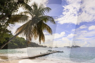 Quiet Caribbean, sea shore palm tree, boat jetty, beautiful Port Elizabeth, Admiralty Bay, Bequia, The Grenadines, St Vincent