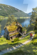Rear view of tourist man on footpath in the old Astruptunet farms complex, Jolster, Sunnfjord, Sogn og Fjordane county, Norway