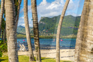 Kitesurf in the ocean seen from tropical palm-fringed beach, Le Morne Brabant, Black River district, Mauritius
