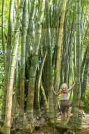 Beautiful woman looking up in the Bamboo forest, Pamplemousses Botanical Garden, Mauritius