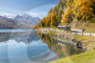 Yellow bus travelling on shores of Lake Silvaplana in autumn, St. Moritz, Engadine, canton of Graubunden, Switzerland