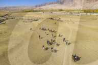Aerial of a Buzkashi game, Yaklawang, Afghanistan (drone)