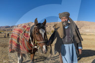 Old man with his horse at a Buzkashi game, Yaklawang, Afghanistan