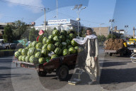 Man selling water melons, Herat, Afghanistan