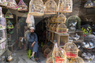 Birds for sale, Bird street, Kabul, Afghanistan