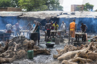Locas tanning cattle skins, Central market, Niamey, Niger