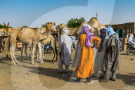 Tuaregs at the animal market, Unesco world heritage sight Agadez, Niger