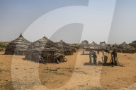 Traditional Hausa village, southern Niger