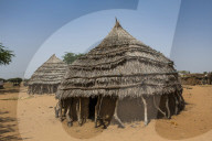 Traditional Hausa village, southern Niger