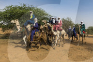 Tuaregs on their camels, Gerewol festival, courtship ritual competition among the Woodaabe Fula people, Niger
