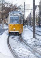 Budapest tram in the snow, Budapest, Hungary, Europe